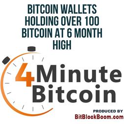 bitcoin wallets holding over bitcoin at month high