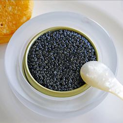 caviar dreams tastes celebration