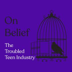 episode troubled teen industry