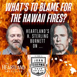 humans to blame for hawaii fires but not how you think