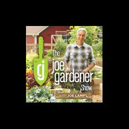 an introduction to modern homesteading jill winger