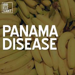 panama disease