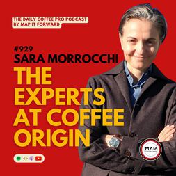 sara morrocchi experts at coffee origin daily coffee pro podcast