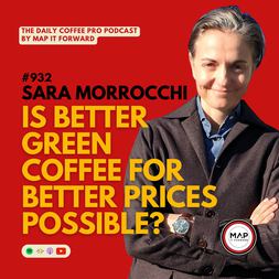 sara morrocchi is better green coffee for better prices possible daily coffee
