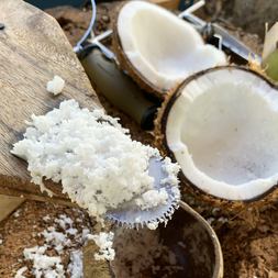 trouble in paradise coconut war waters coconut oil controversies